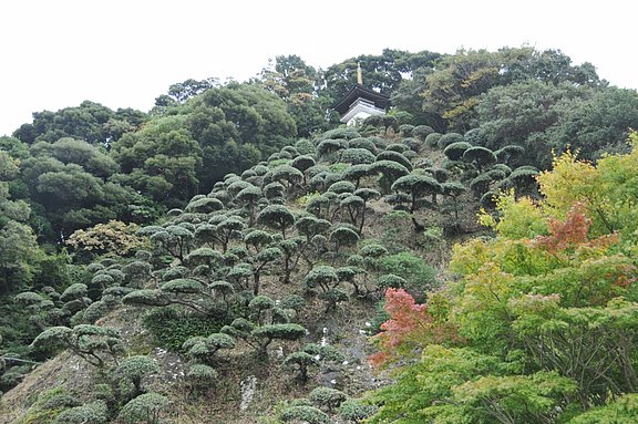 izu030.JPG 