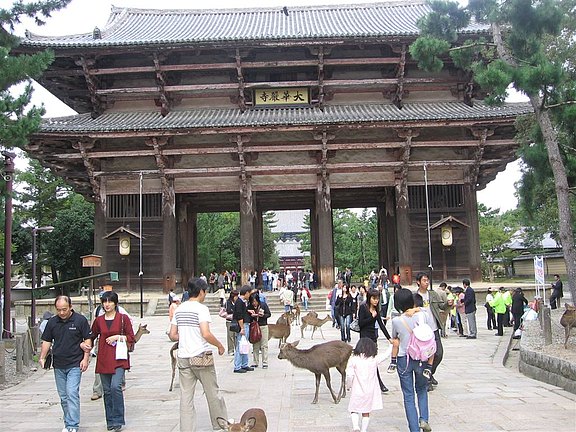 nara 3.jpg