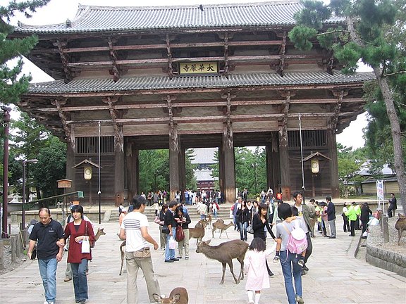 nara 3.jpg 