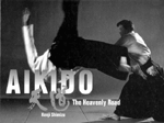 aikido.png 